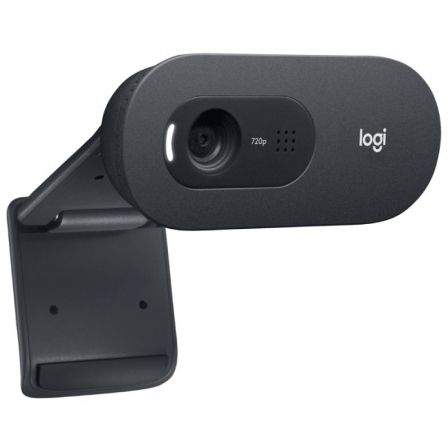 Logitech C505 HD Webcam Grafito
